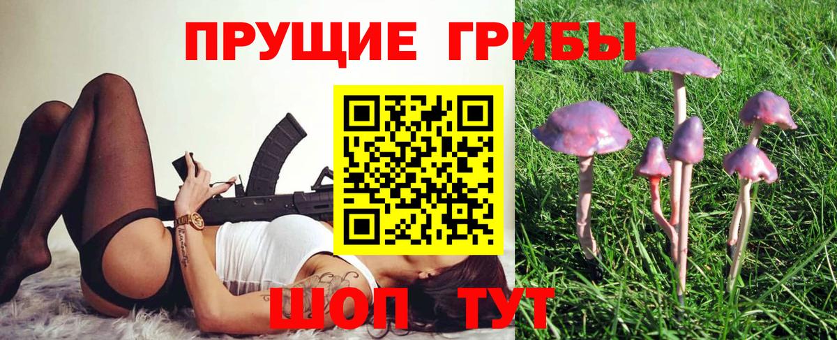 Галлюциногенные грибы Psilocybine cubensis Подольск