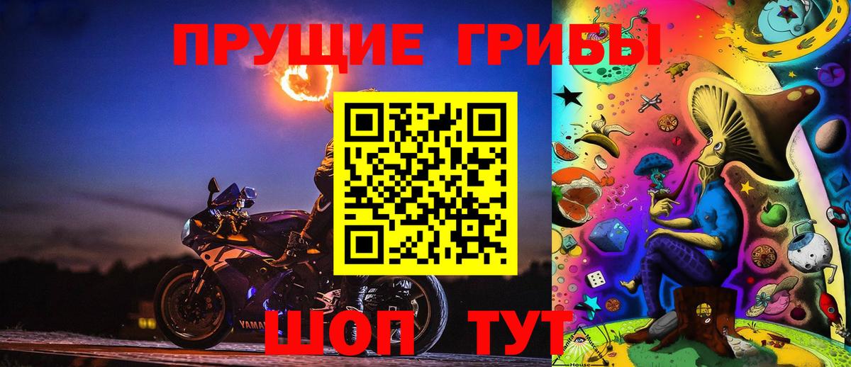 Псилоцибиновые грибы мицелий  Вход с VPN  Подольск  Псилоцибиновые грибы мицелий 